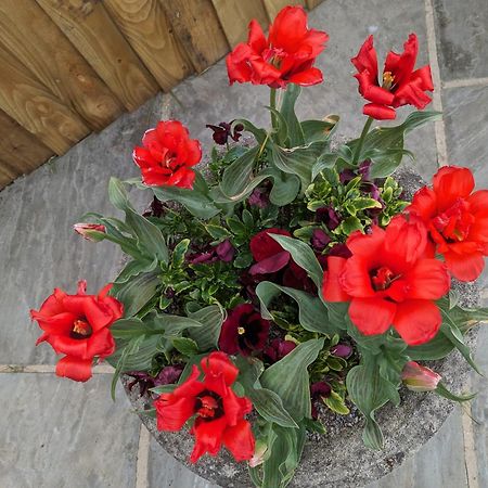 Rosegarth Bed And Breakfast Marton near Pickering Εξωτερικό φωτογραφία